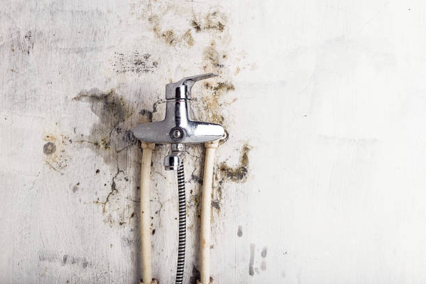 Mold Removal and Inspection in Highspire, PA