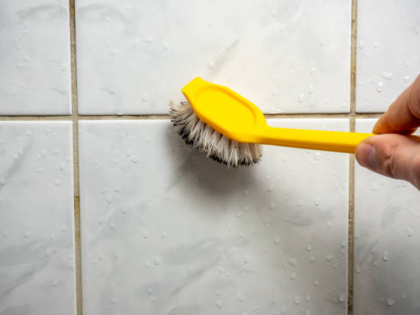 Best Commercial Mold Removal  in Highspire, PA