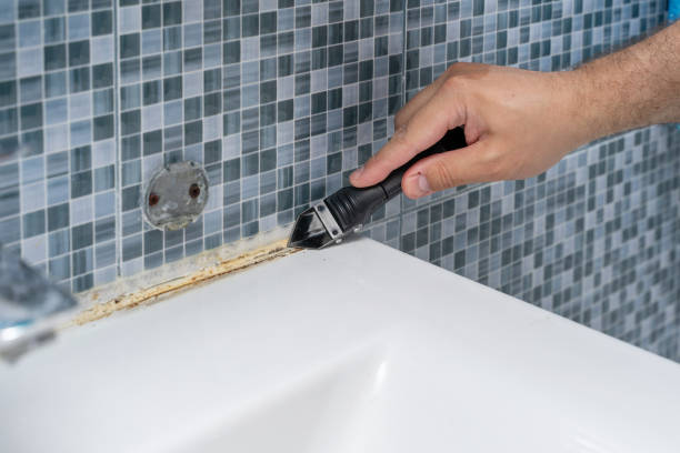 Best Fast Mold Removal  in Highspire, PA